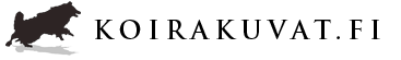 Koirakuvat.fi live